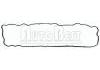Valve Cover Gasket:0249.A9
