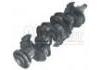 Crankshaft:0501.77