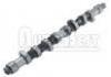 Camshaft:0801.E8