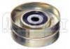 Idler Pulley:7700850603