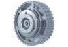 Timing Gear:8200046741