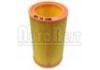 Luftfilter Air Filter:7701348175