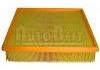 Filtro de aire Air Filter:7700111834