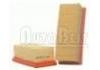 Air Filter:8200104272