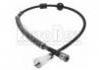 Speedometer Cable:6123.92