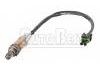 Oxygen Sensor:7700860246