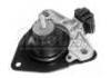 Soporte del motor Engine Mount:7700823950