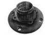 Wheel Hub Bearing:3701.31