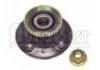 Wheel Hub Bearing:7701205170