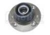 комплекс ступичного подшипника Wheel Hub Bearing:7701204665