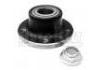 Radnabe Wheel Hub Bearing:6025171136