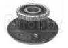 Radnabe Wheel Hub Bearing:7701205499