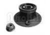 Radnabe Wheel Hub Bearing:7700780921