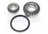 Kit, roulement de roue Wheel Bearing Rep. kit:7701465647