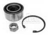 轴承修理包 Wheel Bearing Rep. kit:6025170050