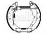 刹车蹄片 Brake Shoe Set:4241.9F