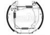 刹车蹄片 Brake Shoe Set:4241.7H