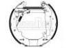 刹车蹄片 Brake Shoe Set:7701205309