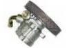 насос гидроусилителя руля Power Steering Pump:4007.R0