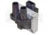 Ignition Coil:7700107269