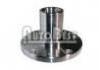 комплекс ступичного подшипника Wheel Hub Bearing:7531818