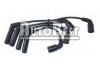 Ignition Wire Set:96288956